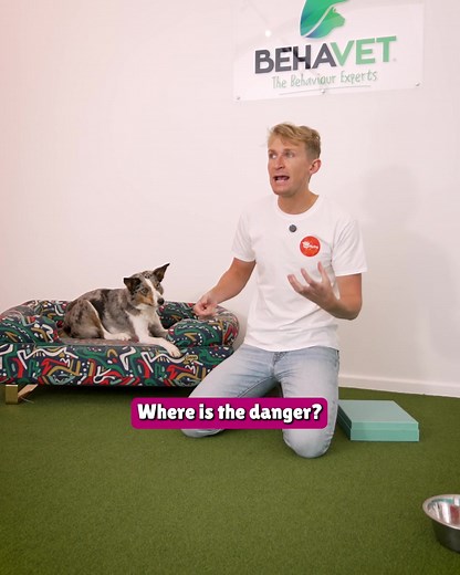 Mindfulness and relaxation aren’t just for humans, your dog can benefit too! 🐶🧘🏻‍♀️ If your dog spends all day scanning for and bouncing in between distractions - looking for squirrels to chase after, leaping up at strangers, or barking at every other dog in sight - they could be stuck on distraction autopilot. 🐿️‼️ Luckily, Dr Tom Mitchell has a super simple way to stop the distraction and help them to reset. By teaching your dog to put their front paws on an object, they have a clear task