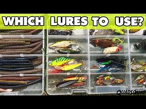What Lure Should I Use? - Fishing 101