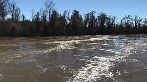 10K views · 116 reactions | As the Sabine River closes in on major flooding in Bon Wier, here is a look at the river on the Highway 190 overpass from Texas into Louisiana. From what the NWS has forecasted, the river still has roughly a foot to climb before it crest. That is expected to happen tonight/tomorrow morning, BUT it’s going to take quite some time for the Sabine to actually start falling. | Meteorologist Eric Brill | Facebook