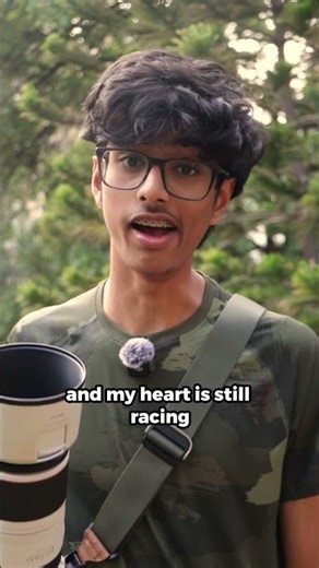 I photographed a FOX!