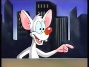 Pinky and the Brain Nickelodeon Promo