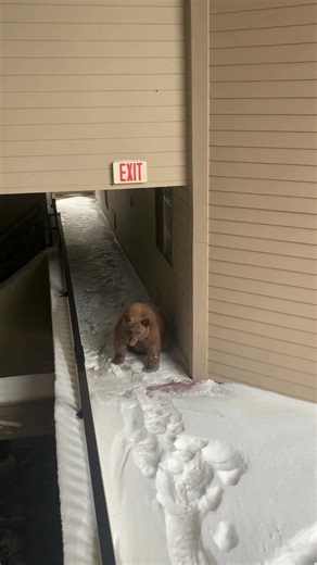 7.8K views · 79 reactions | Sometimes elevator maintenance can be a...