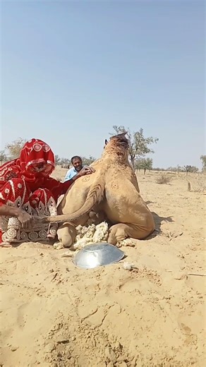 سر العناية بالجمال في الوادي