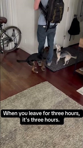 Now there’s dog math!