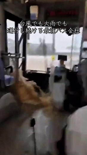 西鉄バスが大雨の中で運行！福岡の交通事情