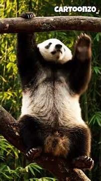 Cute Panda Tries to Climb a Tree! 🐼🌳😂