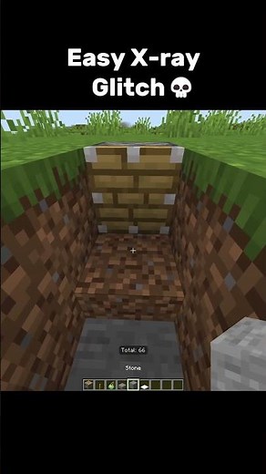 Minecraft X ray Glitch