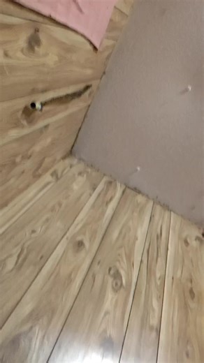 Amanda swink (@amanda.swink67)’s videos with Steal The Show - From