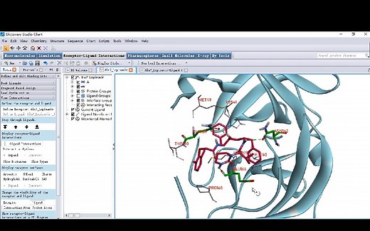 Discovery Studio分子对接结果分析