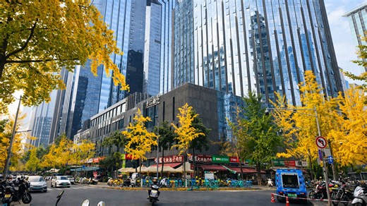 Autumn colors bring Chengdu’s CBD to life