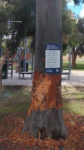 Council offers $5,000 reward after 'terrible' act in Aussie park | #yahoonewsau