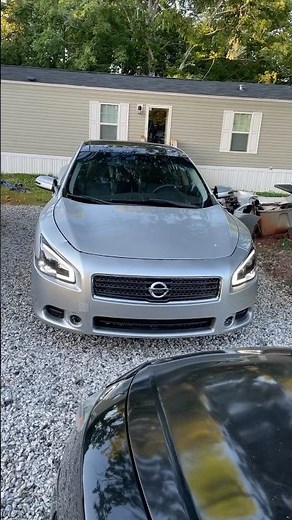 Quick Walk Around My 7th Gen Maxima