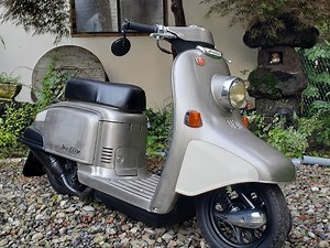 Honda Giulio