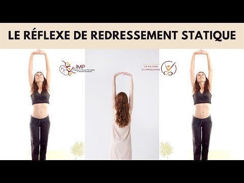 Le réflexe de redressement statique - Intégration Motrice Primordiale (IMP)