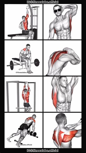 Essential Back Workout Routine for Effective Muscle Gain