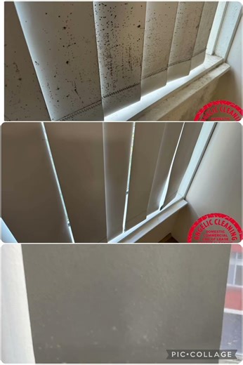 How to remove mould from vertical blinds? #AngelicMouldRemoval#MoveOutCleaning #EndOfLeaseCleaning