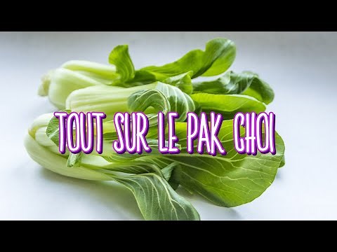 Tout sur le Pak Choi ! Ce légume asiatique facile à cuisiner