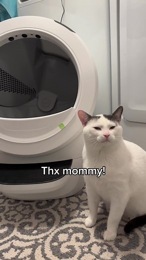 Revolutionizing cat care with @Litter-Robot 🐾 Say goodbye to scooping and hello to a cleaner home! #litterbox #litterrobot #catsoftiktok #twiniboo #catlovers #litterboxcleaning #litterrobot #fypシ゚viral