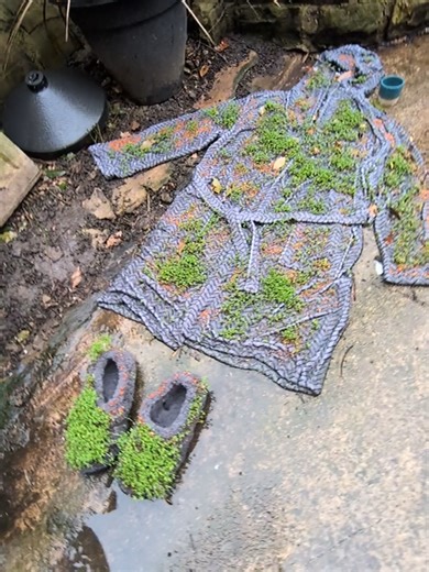 #cress #fyp #gardening #experiment #plants