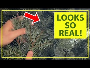 Balsam Hill Christmas Tree SETUP - After SEVEN Years - Do They Last?