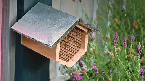 Rivajam Mason Bee House: Geometric Metal Roof, Nesting Tubes - Etsy