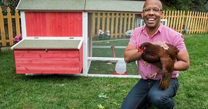 Urban Chicken Coop - Home & Family