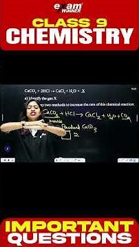 Important Question | Class 9 Chemistry