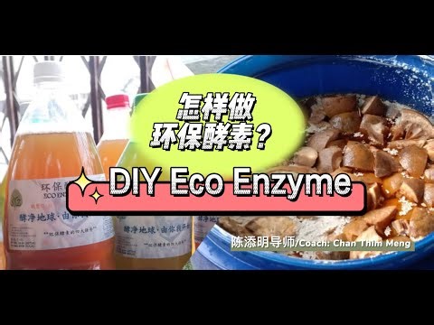 怎样制作环保酵素 (英文字幕) ？ How to make eco-enzyme/bio-enzyme?
