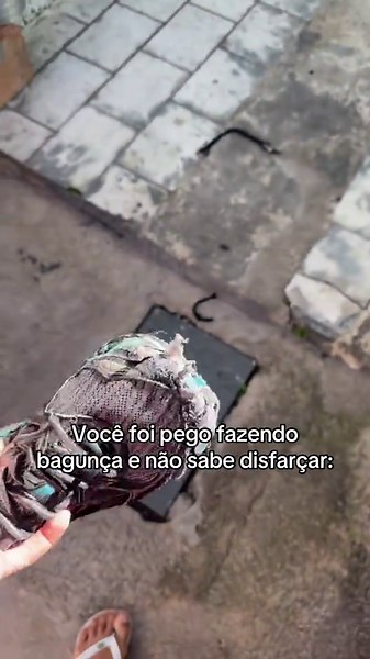 Essa fase passa quando ? #canecorso #cane #adestramento #protecao #guarda #canecorsoitaliano #segurança #cachorro