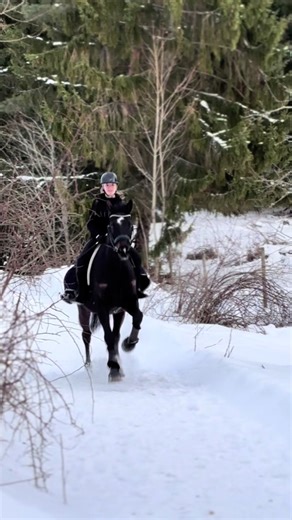 Mus är så rolig att rida just nu!!!🫶 det märks att han trivs med en sadel paus🥹 #cumulus #holsteiner