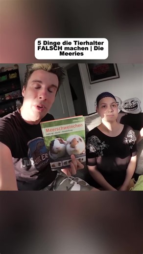 Meerschweinchen pflegen: grundlegende Tierhaltungstipps