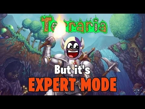Defeating The Moon Lord Is Harder Than It Looks (My First Terraria Expert Mode Run)
