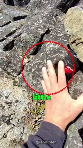 A Camera From a Soda Can