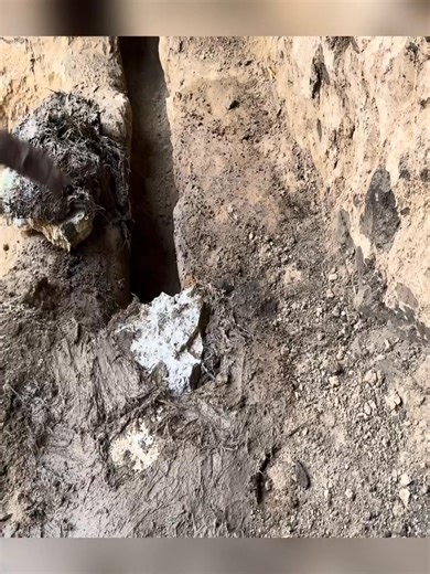 Part02 The heated bed and warm stove kept the shelter comfortable through cold nights. | Off-Grid Adventures