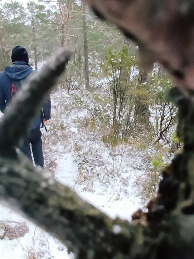 Explore Norway's Stunning Mountains on a Relaxing Hike