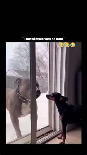 wait for end video 😂 | #shorts #short #funny