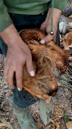 Easy and simple way to peel coconut