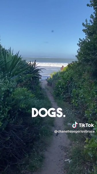 No beach left in Jeffrey’s Bay between Point and Super Tubes… all rhe way to Kabeljous. No sand to walk on after the high spring tide sea surge. #seasurge #jeffreysbay #jeffreysbay🌊 #hightide #southafrica