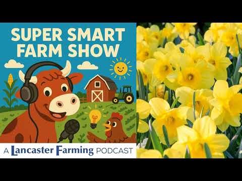 How Do Flowers Know When It’s Time to Grow?