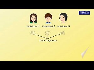 Animation E4, 1.6 DNA fingerprinting