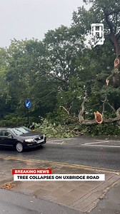 12K views · 81 reactions | A tree has collapsed on Uxbridge Road opposite Harrow Weald Cemetery. Traffic is building as vehicles manoeuvre around the obstruction. A partial road closure will be needed to clear debris.  This is a live story – check our website for updates. | Harrow Online | Facebook