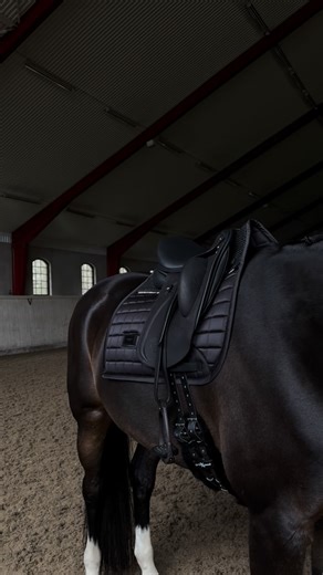 Equestrian Stockholm | Equestrian Fashion Brand on Instagram: "Christmas deal - 25% discount today only🎄✨ Introducing our popular Performance Saddle Pads. Mesh grip and bamboo lining for a quick dry and antibacterial function. Perfect all year round! Read more on our website, link in bio✨"