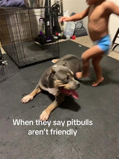 TikTok · BYP KENNELS