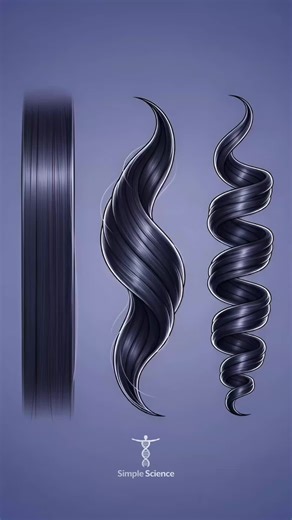 Understanding Your Hair Type: Benefits and Drawbacks