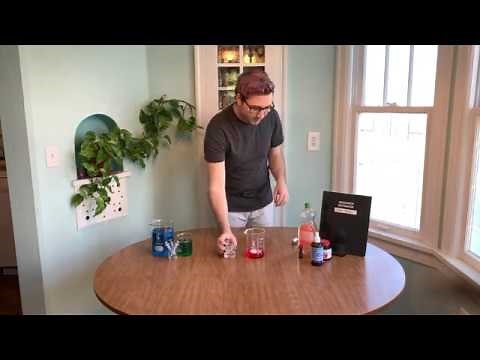 Science Outreach H2O2 and Yeast