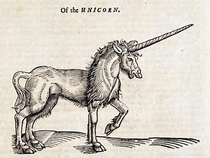 Unicorn (Dungeons and Dragons) - Alchetron, the free social encyclopedia
