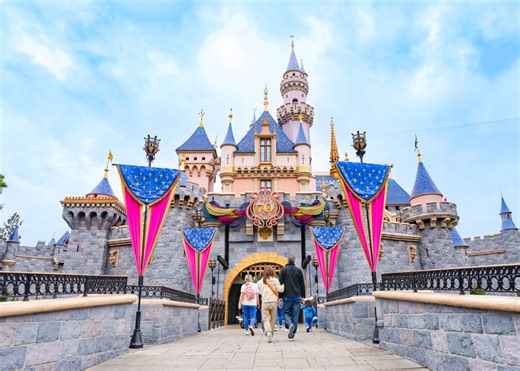 Tree falls on Disneyland guests during windy night