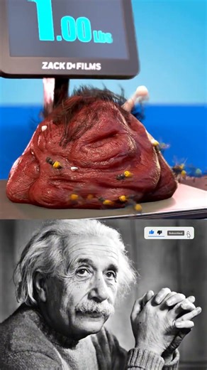 Sigma physics teacher | 🐝 #shorts #sigmaphysics #physics #ytshorts