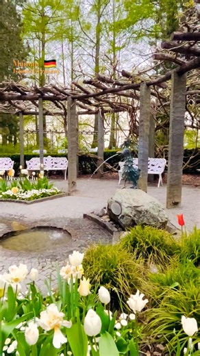 Mainau island Germany 🇩🇪 #shorts #travel #nature #flowers #niceplace