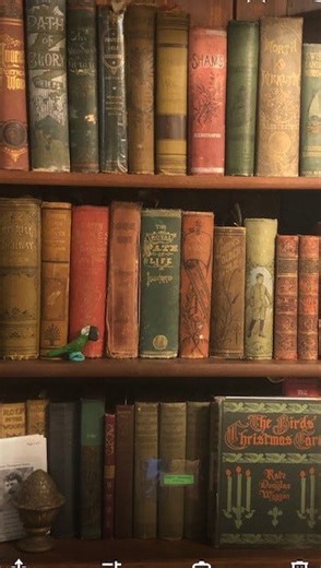 Alliance Française DC on Instagram: "Discover one of DC’s hidden gems; The Alliance Française of Washington DC Library, home to books, films, and resources celebrating French / Francophone language and culture! 📖 AFDC Members enjoy borrowing privileges, and access to our diverse collection of French novels, children’s books, magazines, and DVDs, as well as our multifaceted online resource, Culturethèque. Looking to purchase or renew a memebrship? Visit francedc.org and click “Become a member” 